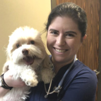 Heartland Veterinary Partners Employee Jessi Farris's profile photo