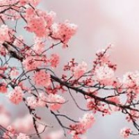 Maryann Marryshow Email