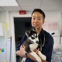 VES Hospital - Singapore Employee Shun Tan's profile photo