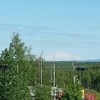 Tim Walton Email & Phone Number