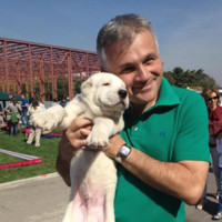 MSc Engineering Employee Christian Carlos's profile photo