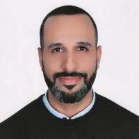 M'hamed Hassin Email
