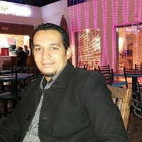Hany Elghor Email