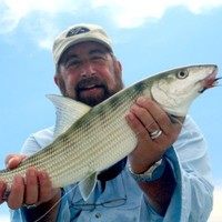Gary Fogel Email & Phone Number