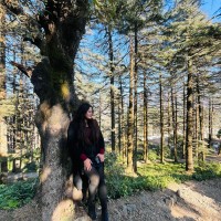 Exarca Inc. Employee Dolly Rawat's profile photo