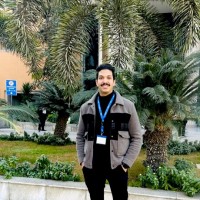 Ali Saleh Email & Phone Number