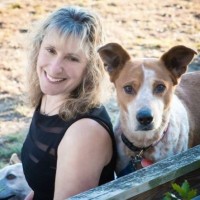Companion Animal Protection Society Employee Deborah Howard's profile photo