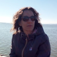 Daniela Longo Email