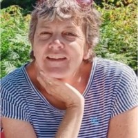 Lisa Vince Email & Phone Number