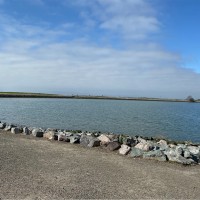 Peking Handicraft, Inc. Employee Claire Lee's profile photo