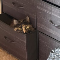 Gail B. Email & Phone Number