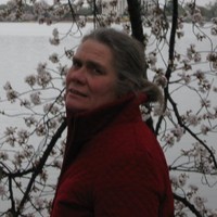 Taylor Harris Insurance Services Ltd Employee Betty Douglas's profile photo