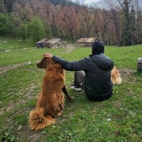 Cynoteck Technology Solutions Employee Deepak Kumar's profile photo