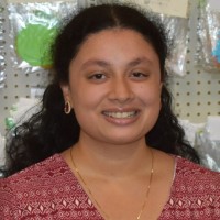PENCIL Employee Meena Swaminathan's profile photo