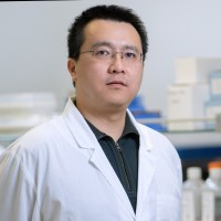 APstem Therapeutics Employee Bo Liu's profile photo