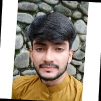 Software Developer (C# / WPF / .NET) Employee Shubham Kashyap's profile photo
