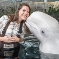 U.S. Army Corps of Engineers, Mobile District Employee Kari Brignac's profile photo
