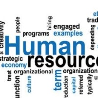 HIL Limited (Formerly known as Hyderabad Industries Ltd) Employee Amarjeet Verma's profile photo