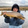 Rhys Johnston Email