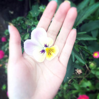 WeLab Holdings Employee Angela Lei's profile photo