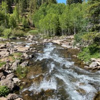 Sheila Lambert Email & Phone Number