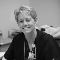 Sue Stingley