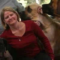 Harrell & Harrell, P.A. Employee Renee Harrell's profile photo