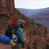 BDO USA Employee Stephen Mezzo's profile photo