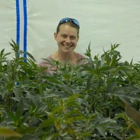 High Fidelity Solventless Employee Caitlin McIlhone's profile photo