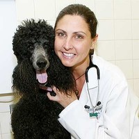 Ark Animal Hospital Employee Deirdre Chiaramonte's profile photo