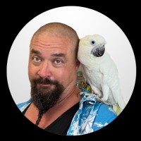 Nik Ogura's profile photo