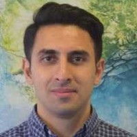 Indico Labs Employee Majeed Saheb-Zadha's profile photo