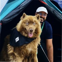 Decathlon International Employee Hussain Sham's profile photo