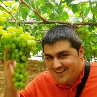 FRUTINTER SL Employee Jesus Albarran Escrig's profile photo