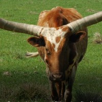 City of Lewisville Employee Christopher Lewis's profile photo