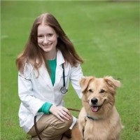 Chastain Animal Clinic Employee Stephanie Hunter's profile photo