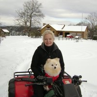 Amy Jarvis Email & Phone Number