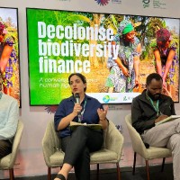 Forest Peoples Programme Employee Amelia Arreguín Prado's profile photo