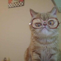 KnowledgeNote Employee Gleb Stolyarchuk's profile photo