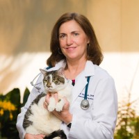 Auburn University College of Veterinary Medicine Employee Diane Delmain's profile photo