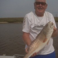 Hamp Wallace Email & Phone Number