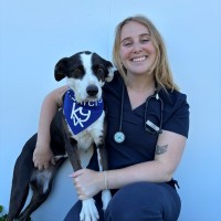 Kode Veterinary Sciences Employee Siobhan Graham's profile photo