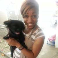Christina Smith Email & Phone Number