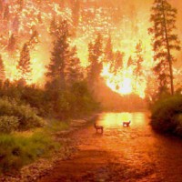 Jack Sousa Email & Phone Number