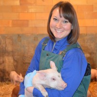 Kelli Werling Email & Phone Number