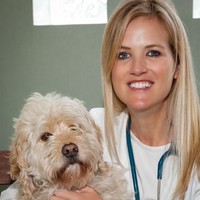 Del Norte Animal Hospital Employee Carrie Bone's profile photo