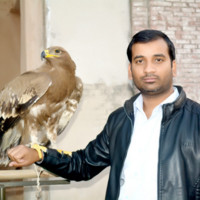 Mahar Abbas Email