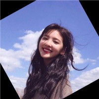 M&L CONTAINER LINES Employee Ella Ye's profile photo