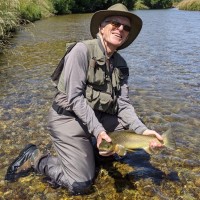 Alain Pinel Realtors Employee Bruce Dougherty's profile photo