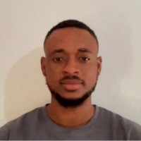 Indicina Employee Godwin Ogbonnaya's profile photo